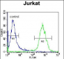 OR4N4 Antibody (N-term)